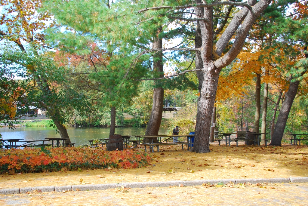 DSC_3891.JPG